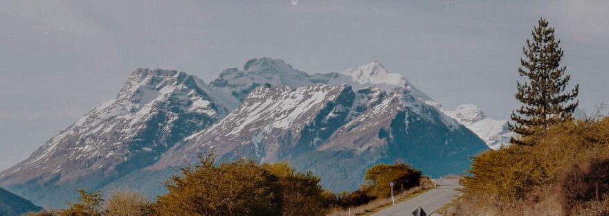 road between trees near snow capped mountains